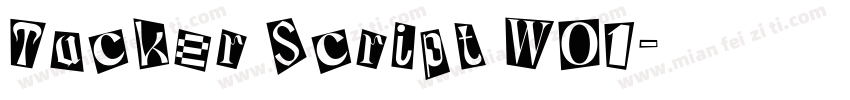 Tucker Script W01字体转换